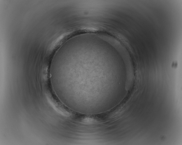 X0000115650596200911101541