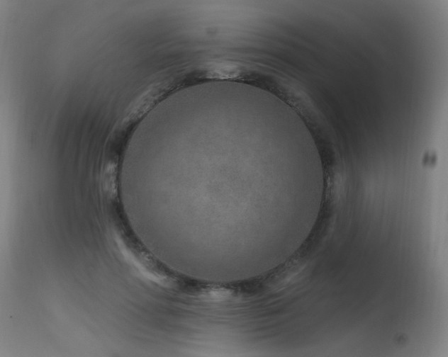 X0000115650598200911101541
