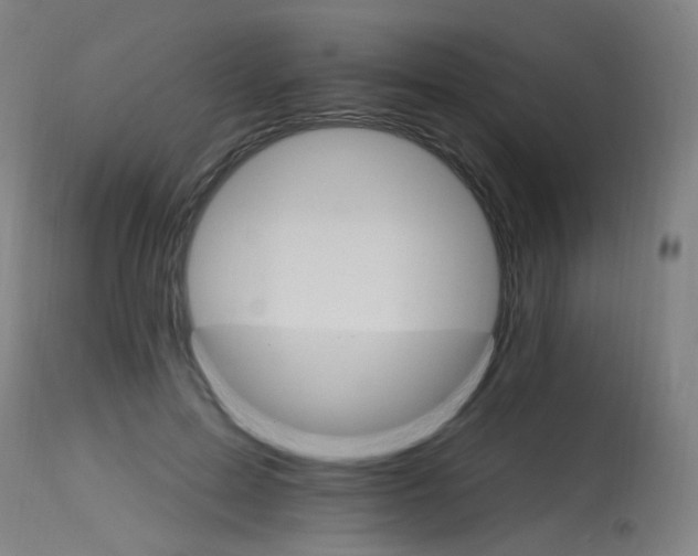X0000115650599200911101541