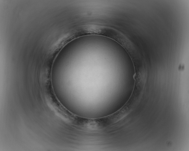 X0000115650600200911101541