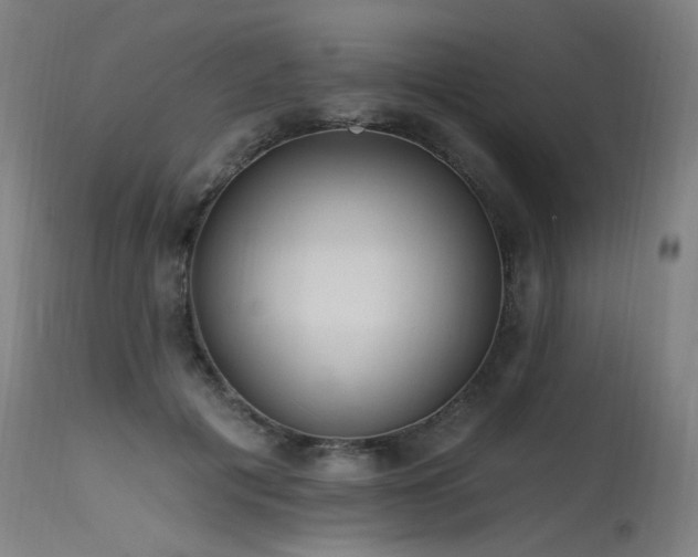 X0000115650601200911101541