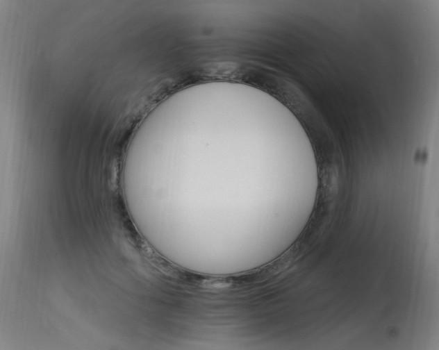 X0000115650602200911101541
