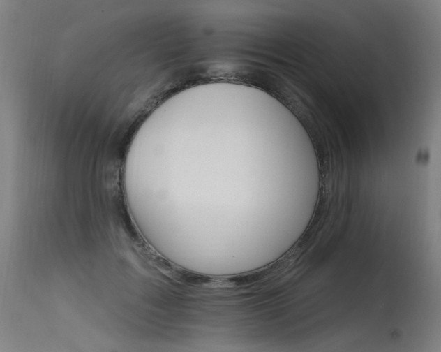 X0000115650603200911101541