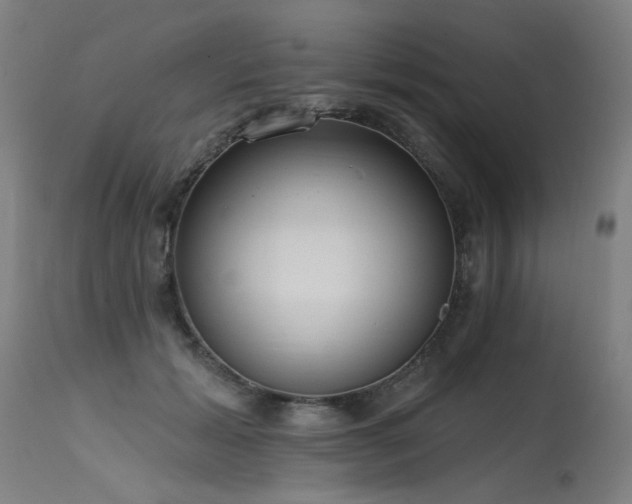X0000115650605200911101541