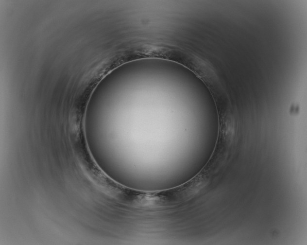 X0000115650607200911101541