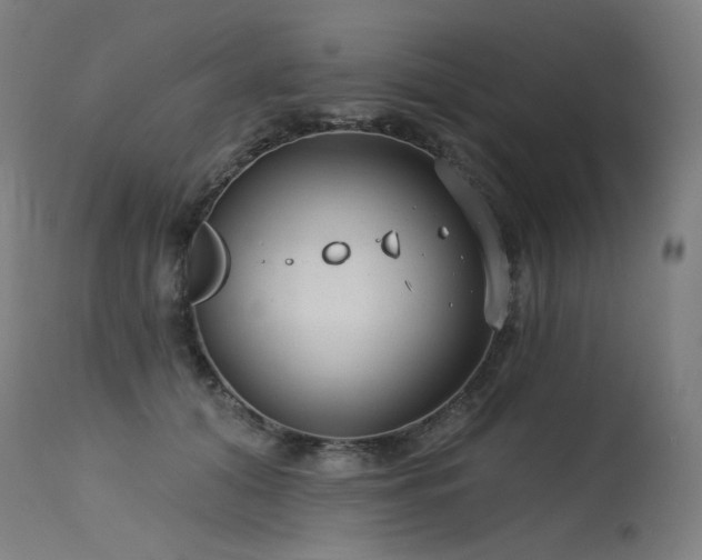 X0000115650608200911101541