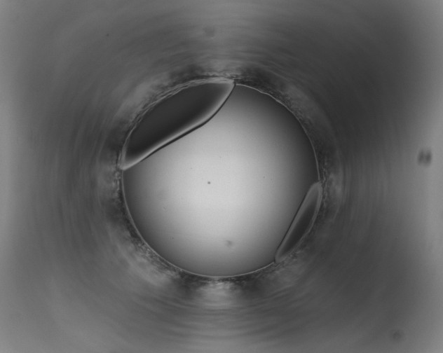 X0000115650609200911101541