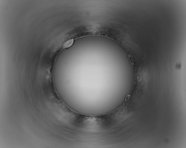 X0000115650611200911101541