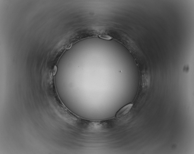 X0000115650613200911101541