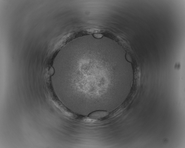 X0000115650614200911101541