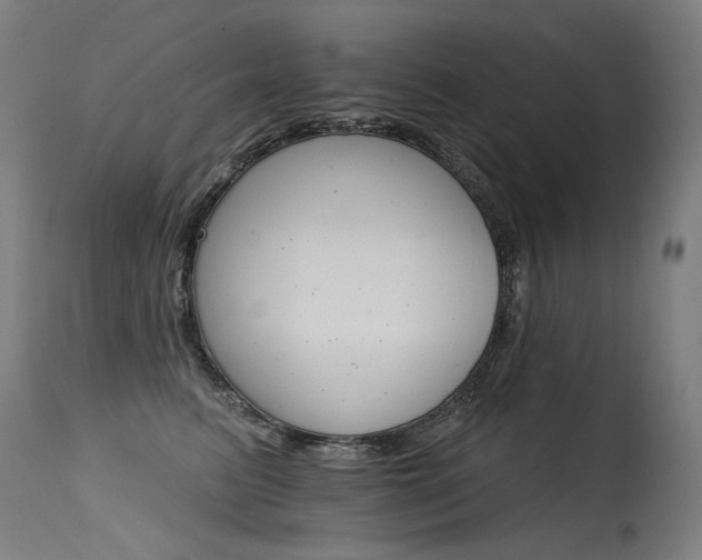 X0000115650615200911101541