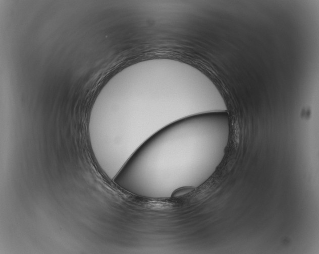 X0000115650617200911101541