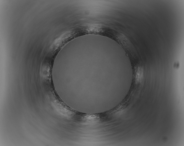 X0000115650619200911101541