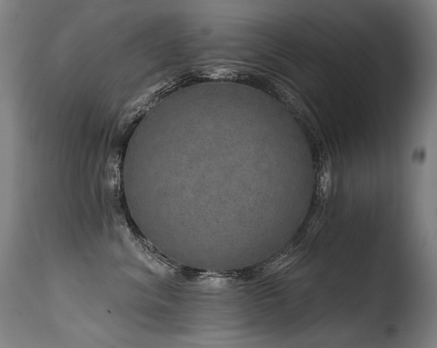 X0000115650620200911101541