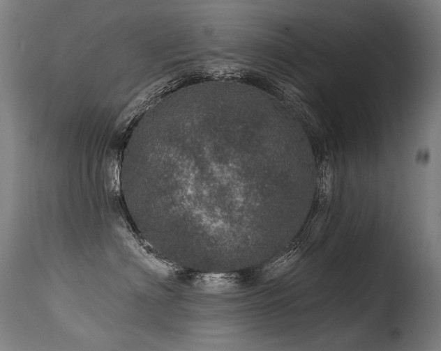 X0000115650622200911101541