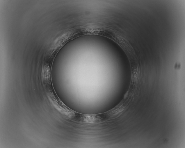 X0000115650623200911101541