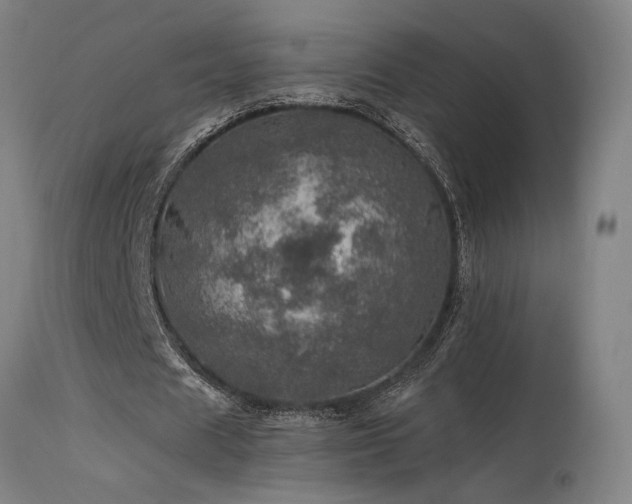 X0000115650625200911101540