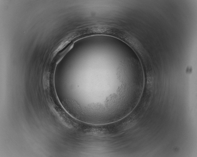 X0000115650626200911101540