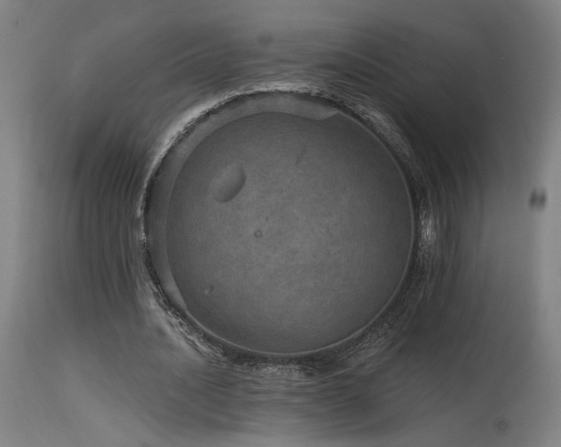X0000115650628200911101540