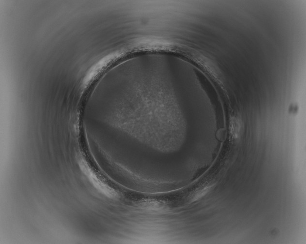 X0000115650629200911101540