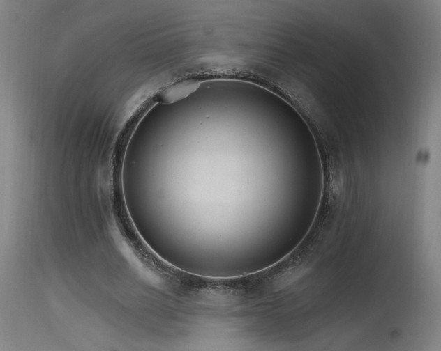 X0000115650630200911101540