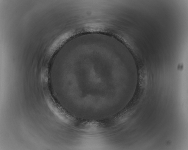 X0000115650631200911101540