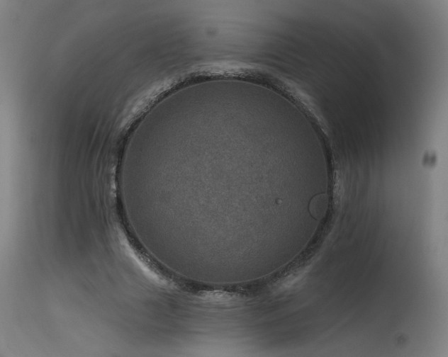 X0000115650633200911101540