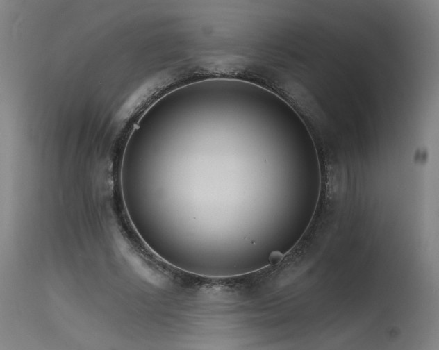 X0000115650634200911101540