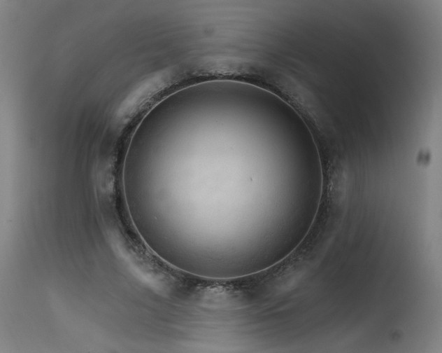 X0000115650635200911101540
