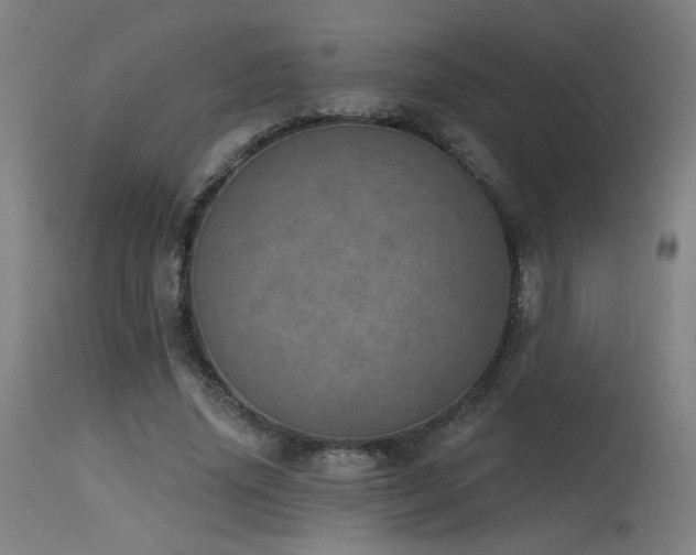 X0000115650636200911101540