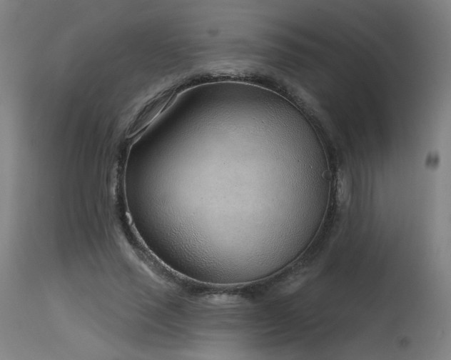 X0000115650637200911101540