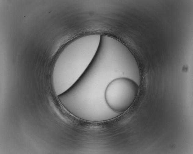 X0000115650638200911101540