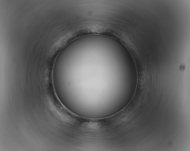 X0000115650639200911101540
