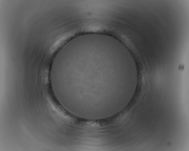 X0000115650640200911101540