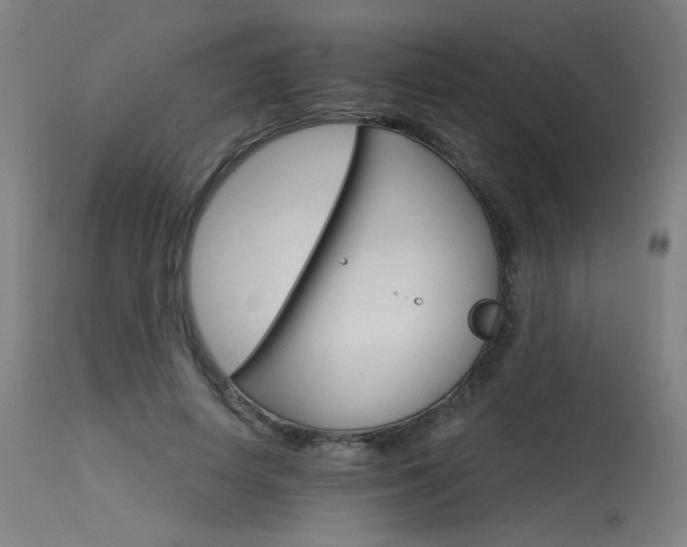 X0000115650642200911101540