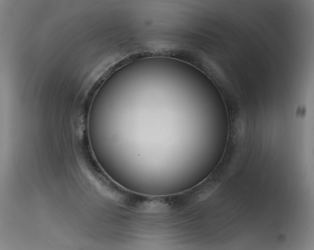 X0000115650644200911101540