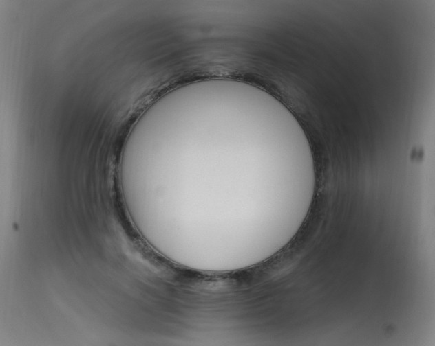 X0000115650646200911101540