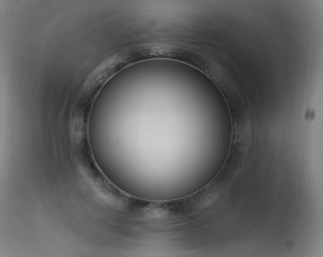 X0000115650648200911101540
