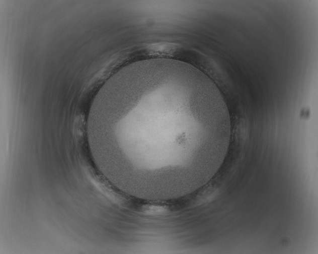 X0000115650649200911101540