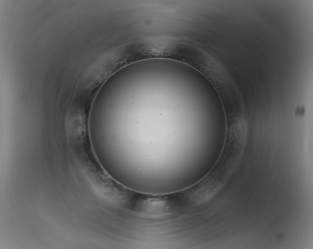X0000115650651200911101540