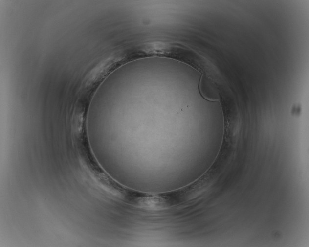 X0000115650652200911101540