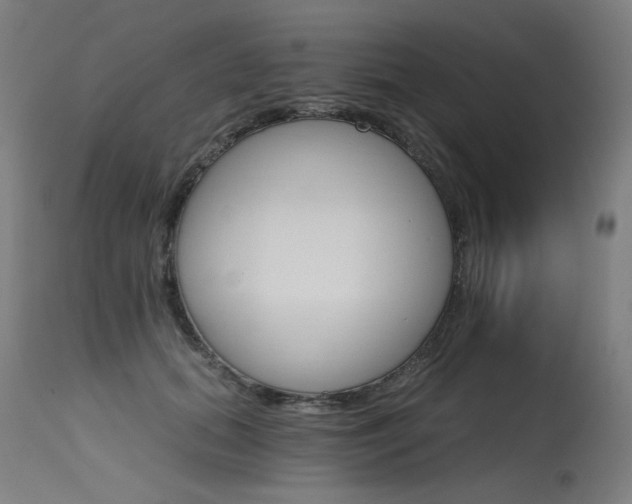 X0000115650655200911101540