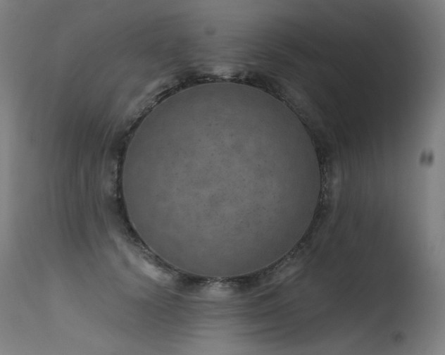X0000115650656200911101540