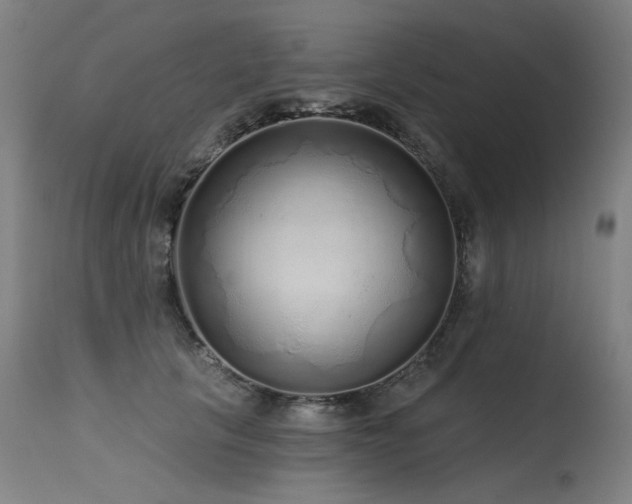 X0000115650657200911101541