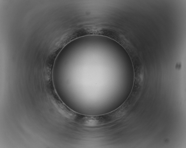 X0000115650658200911101541
