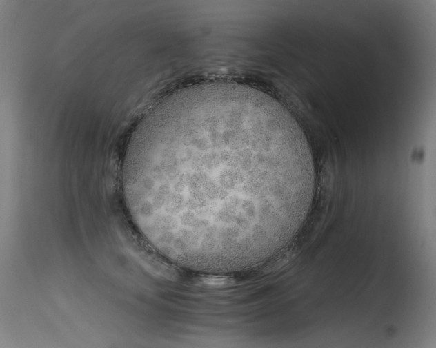 X0000115650659200911101541