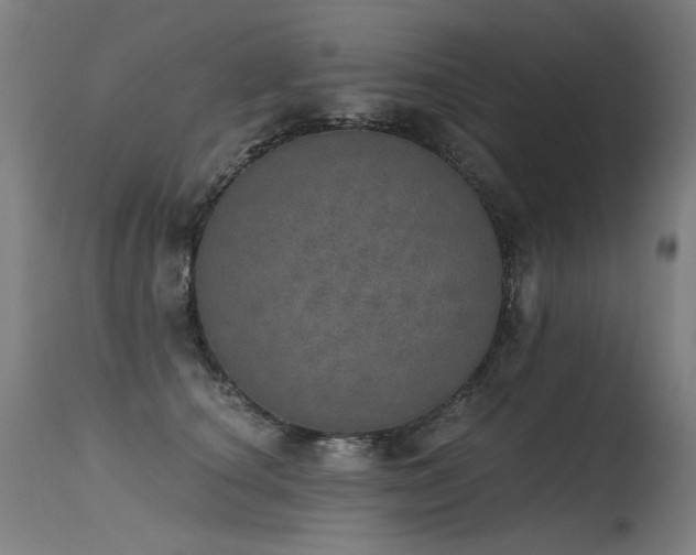 X0000115650660200911101541
