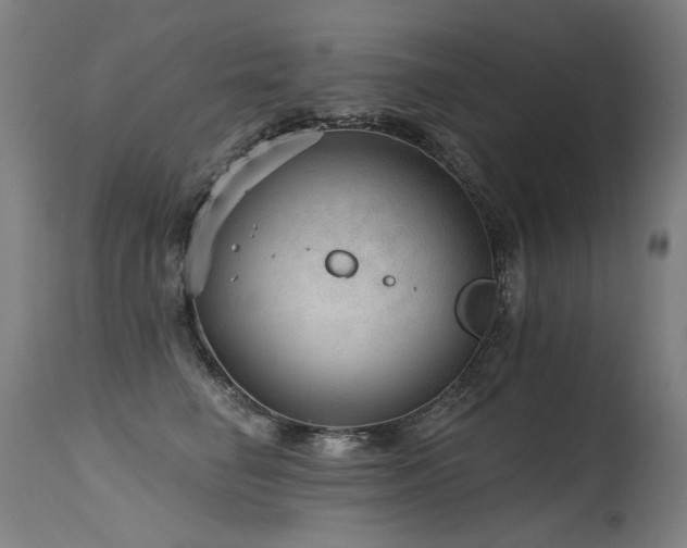 X0000115650662200911101541