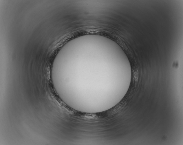 X0000115650666200911101541