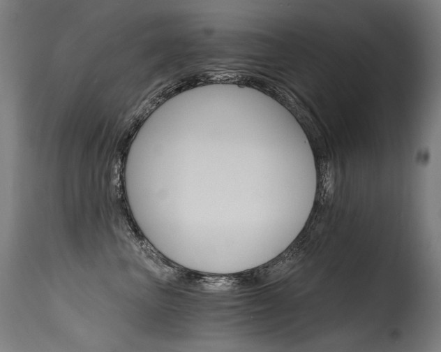 X0000115650667200911101541